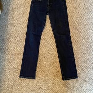 Banana Republic Dark Wash Jeans